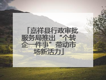 嘉祥县行政审批服务局推出“个转企一件事”带动市场新活力
