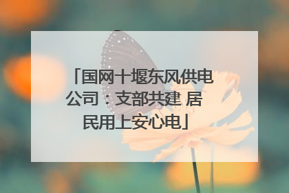 国网十堰东风供电公司：支部共建 居民用上安心电
