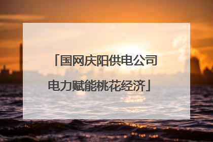 国网庆阳供电公司电力赋能桃花经济
