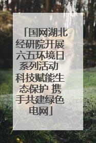 国网湖北经研院开展六五环境日系列活动 科技赋能生态保护 携手共建绿色电网