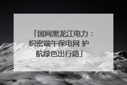 国网黑龙江电力：织密端午保电网 护航绿色出行路