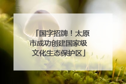 国字招牌！太原市成功创建国家级文化生态保护区