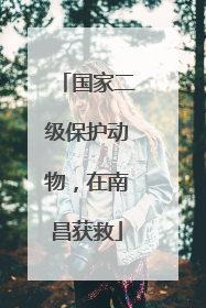 国家二级保护动物，在南昌获救