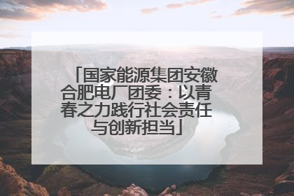 国家能源集团安徽合肥电厂团委：以青春之力践行社会责任与创新担当