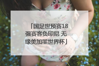 国足世预赛18强赛客负印尼 无缘美加墨世界杯