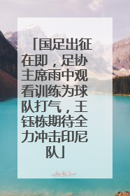 国足出征在即，足协主席雨中观看训练为球队打气，王钰栋期待全力冲击印尼队