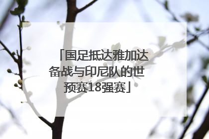 国足抵达雅加达备战与印尼队的世预赛18强赛
