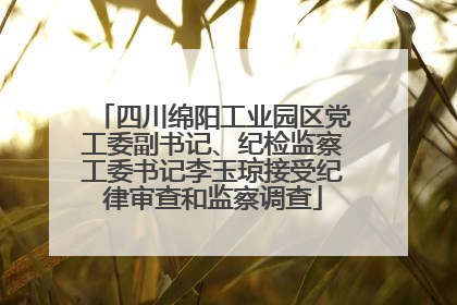 四川绵阳工业园区党工委副书记、纪检监察工委书记李玉琼接受纪律审查和监察调查