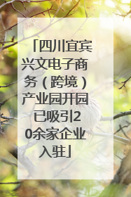 四川宜宾兴文电子商务（跨境）产业园开园 已吸引20余家企业入驻