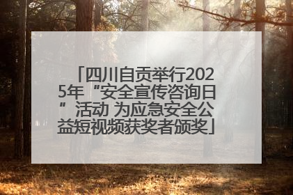 四川自贡举行2025年“安全宣传咨询日”活动 为应急安全公益短视频获奖者颁奖
