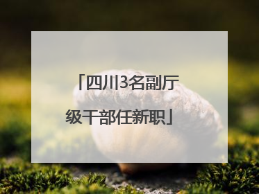 四川3名副厅级干部任新职