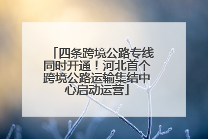 四条跨境公路专线同时开通！河北首个跨境公路运输集结中心启动运营