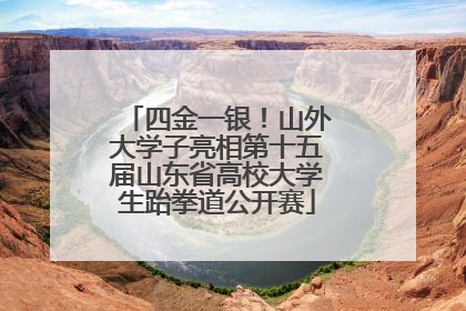 四金一银！山外大学子亮相第十五届山东省高校大学生跆拳道公开赛