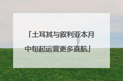土耳其与叙利亚本月中旬起运营更多直航