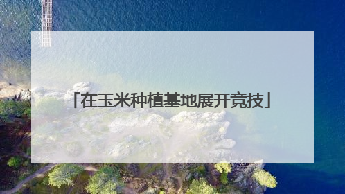 在玉米种植基地展开竞技