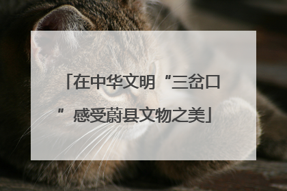 在中华文明“三岔口”感受蔚县文物之美