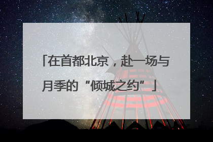 在首都北京，赴一场与月季的“倾城之约”