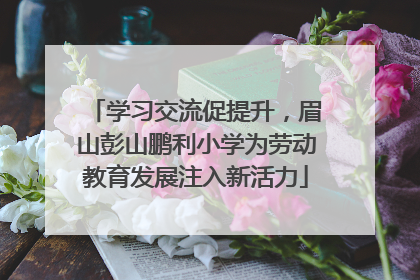 学习交流促提升，眉山彭山鹏利小学为劳动教育发展注入新活力