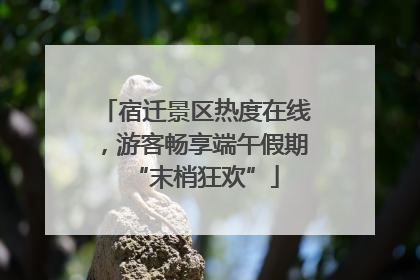宿迁景区热度在线，游客畅享端午假期“末梢狂欢”