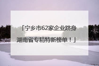 宁乡市62家企业跻身湖南省专精特新榜单！