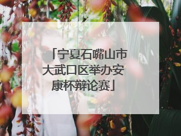 宁夏石嘴山市大武口区举办安康杯辩论赛