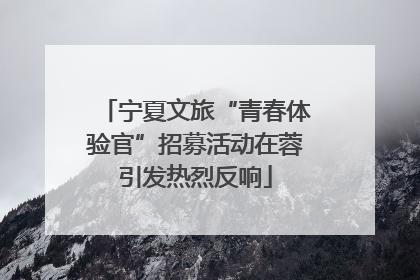 宁夏文旅“青春体验官”招募活动在蓉引发热烈反响