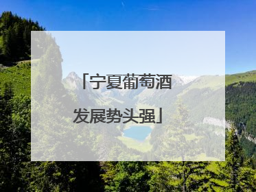 宁夏葡萄酒发展势头强