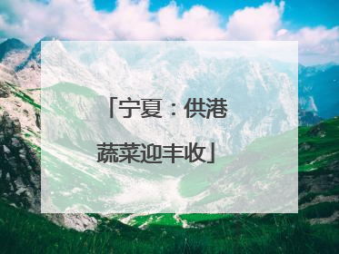 宁夏：供港蔬菜迎丰收
