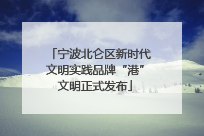 宁波北仑区新时代文明实践品牌“港”文明正式发布