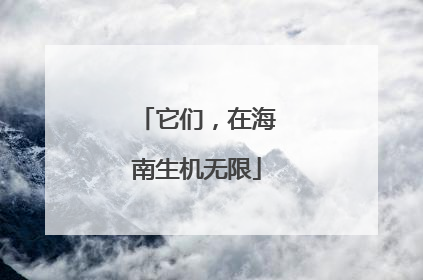 它们，在海南生机无限
