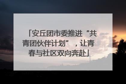 安丘团市委推进“共青团伙伴计划”，让青春与社区双向奔赴