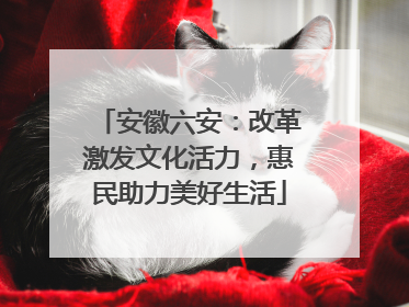 安徽六安：改革激发文化活力，惠民助力美好生活