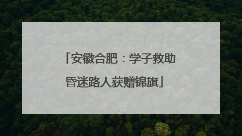 安徽合肥：学子救助昏迷路人获赠锦旗