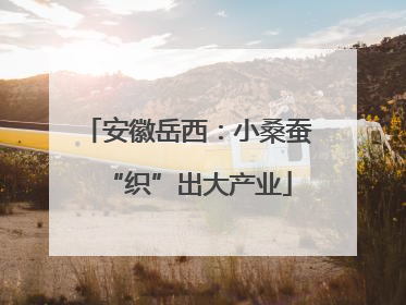 安徽岳西：小桑蚕“织”出大产业