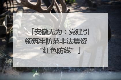 安徽无为：党建引领筑牢防范非法集资“红色防线”