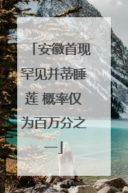 安徽首现罕见并蒂睡莲 概率仅为百万分之一