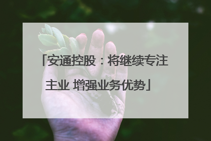 安通控股：将继续专注主业 增强业务优势