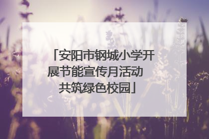 安阳市钢城小学开展节能宣传月活动 共筑绿色校园