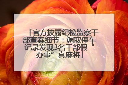 官方披露纪检监察干部查案细节：调取停车记录发现3名干部假“办事”真麻将