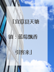宜章县天塘镇：蓝莓飘香引客来