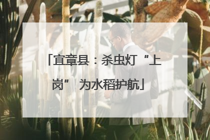 宜章县：杀虫灯“上岗” 为水稻护航
