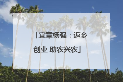 宜章杨强：返乡创业 助农兴农