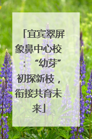 宜宾翠屏象鼻中心校：“幼芽”初探新枝，衔接共育未来