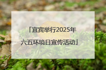 宜宾举行2025年六五环境日宣传活动