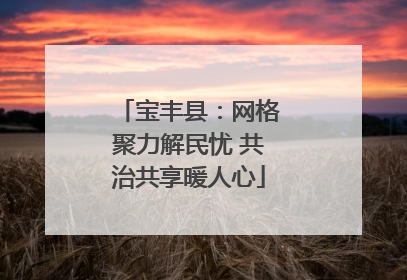 宝丰县：网格聚力解民忧 共治共享暖人心
