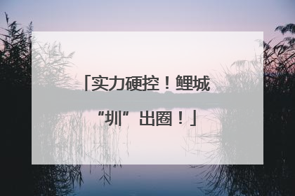 实力硬控！鲤城“圳”出圈！