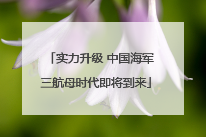 实力升级 中国海军三航母时代即将到来