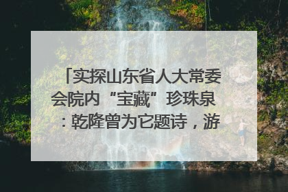 实探山东省人大常委会院内“宝藏”珍珠泉：乾隆曾为它题诗，游客无需预约免费游览