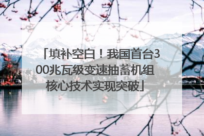 填补空白！我国首台300兆瓦级变速抽蓄机组核心技术实现突破