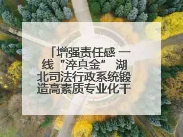 增强责任感 一线“淬真金” 湖北司法行政系统锻造高素质专业化干警队伍